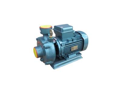 DOMAK SLG1 -2K 1,5 HP 220V 1 İnch Çıkışlı Kademeli Pompa - 1